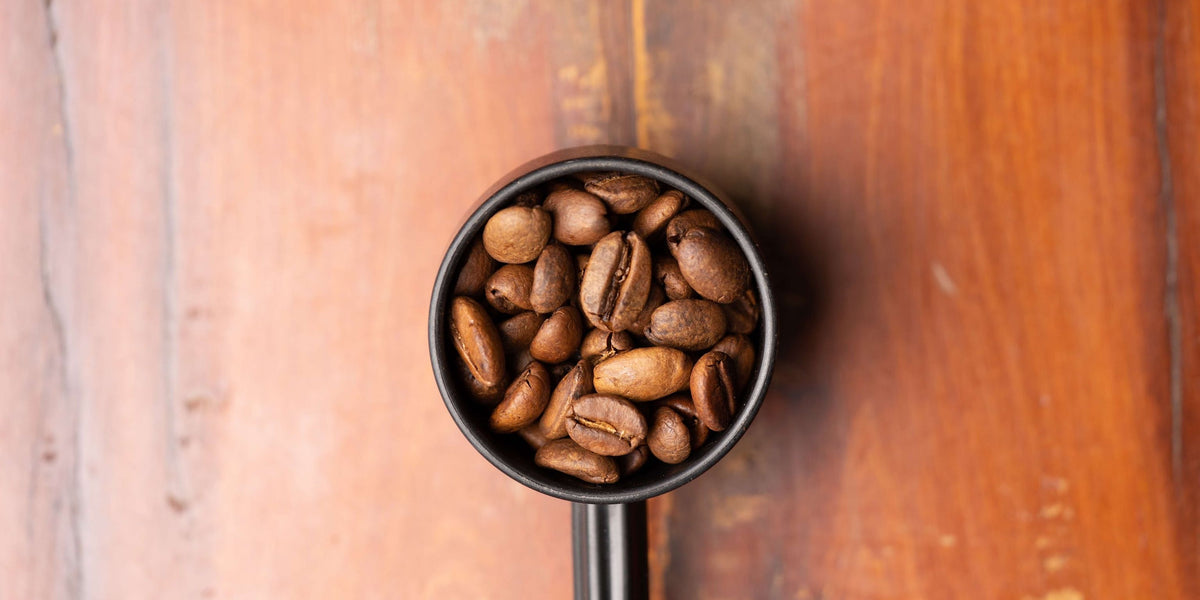Expensive Coffee - Worth it?