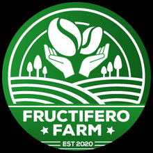 Load image into Gallery viewer, Fructifero Farm Anaerobic Natural Fine Robusta - Philippines
