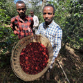 Buku Sayisa Natural - Ethiopia