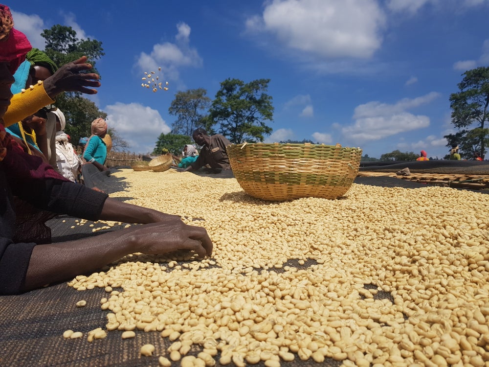 Koke Shalaye - Ethiopia