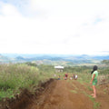 Fructifero Farm Fine Robusta - Philippines