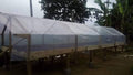 Fructifero Farm Fine Robusta - Philippines
