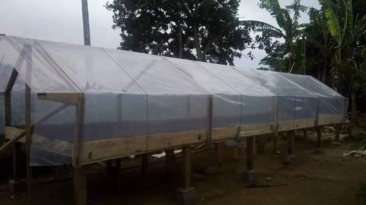 Fructifero Farm Fine Robusta - Philippines